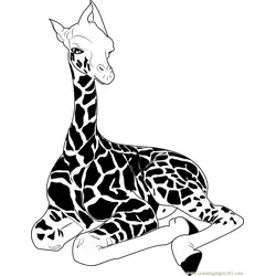 Baby Giraffe Sitting Free Coloring Page for Kids