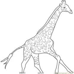 Giraffe Running Free Coloring Page for Kids