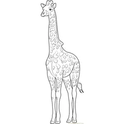 The Tallest Animal Giraffe Free Coloring Page for Kids