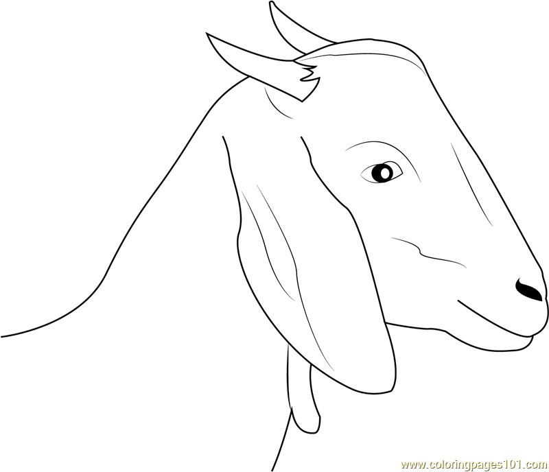 Goat Face Coloring Page for Kids - Free Goat Printable Coloring Pages