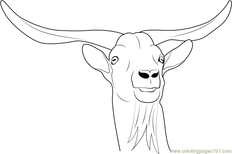 Horny Goat