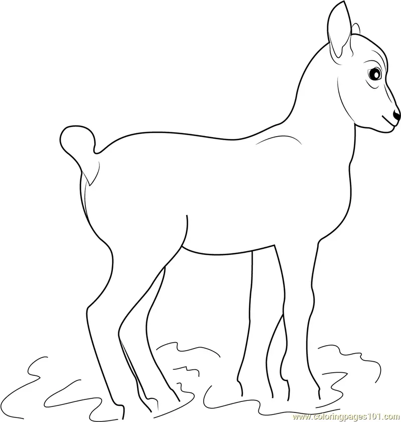 Little Goat Coloring Page for Kids - Free Goat Printable Coloring Pages ...