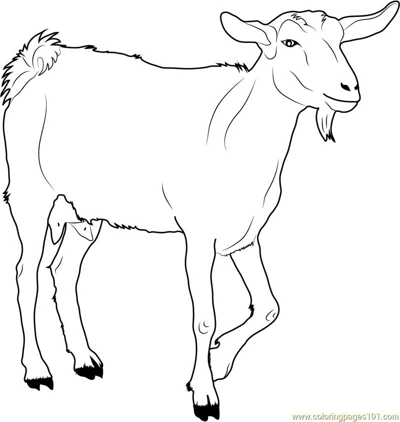 white-goat-coloring-page-for-kids-free-goat-printable-coloring-pages