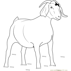 Amarugia Golddigger Goat Free Coloring Page for Kids