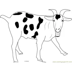 Black Spotted Goat Free Coloring Page for Kids