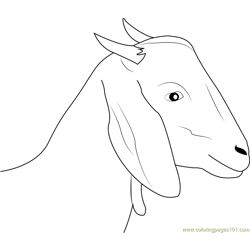 Goat Face Free Coloring Page for Kids