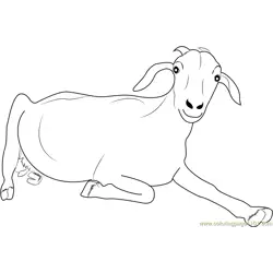 Goat Looking at You Free Coloring Page for Kids