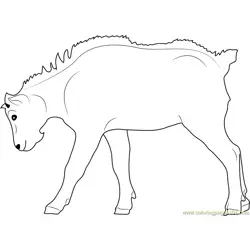 Mountain Goat Kid Free Coloring Page for Kids