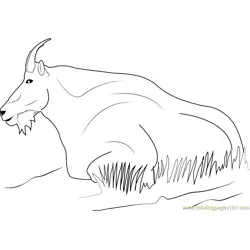 Mountain Goat Free Coloring Page for Kids