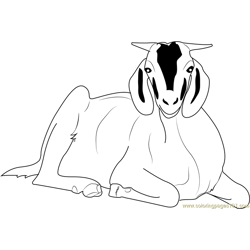 Sitting Goat Free Coloring Page for Kids