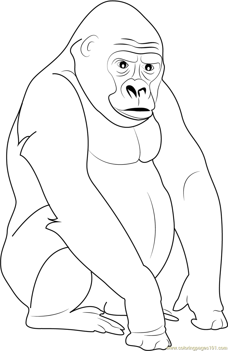 Silverback Gorilla Coloring Page for Kids Free Gorilla Printable