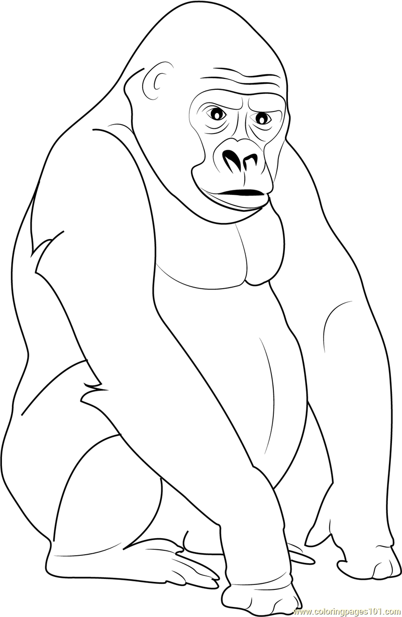 silverback-gorilla-coloring-page-for-kids-free-gorilla-printable-coloring-pages-online-for