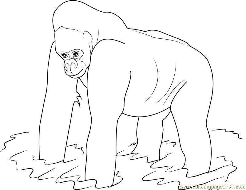 Western Lowland Gorilla Coloring Page for Kids - Free Gorilla Printable