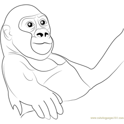 Baby Gorilla Free Coloring Page for Kids