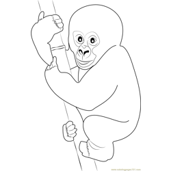 Cute Gorilla Baby Free Coloring Page for Kids