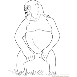 Funny Gorilla Free Coloring Page for Kids
