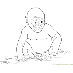 Gorilla Baby Free Coloring Page for Kids
