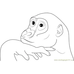 Gorilla Face Free Coloring Page for Kids