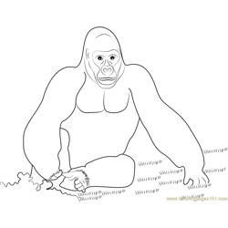 King Kong Gorilla Free Coloring Page for Kids