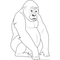 Silverback Gorilla Free Coloring Page for Kids