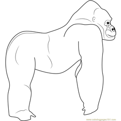 Standing Gorilla Free Coloring Page for Kids