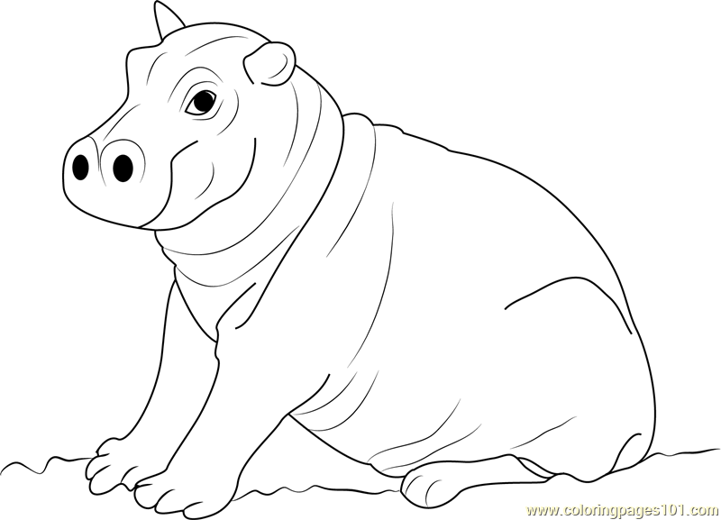 Cute Hippopotamus Baby Coloring Page for Kids - Free Hippopotamus