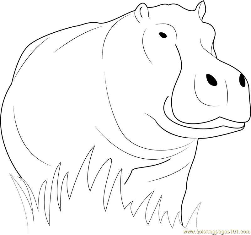 Hippopotamus Loking Coloring Page for Kids - Free Hippopotamus