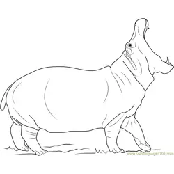 Angry Hippopotamus Free Coloring Page for Kids