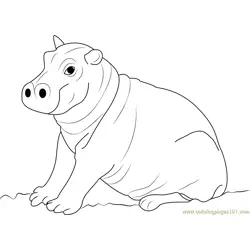 Cute Hippopotamus Baby Free Coloring Page for Kids