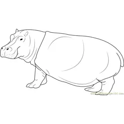 Hippopotami Free Coloring Page for Kids