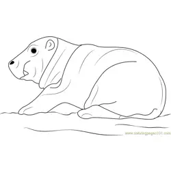 Hippopotamus Baby Free Coloring Page for Kids