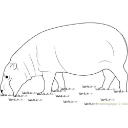 Hippopotamus Eating Grass Free Coloring Page for Kids
