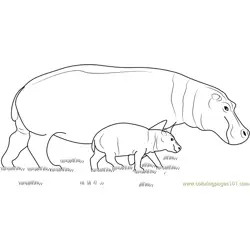 Hippopotamus With Baby Free Coloring Page for Kids