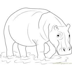 Hippopotamus in Water Free Coloring Page for Kids