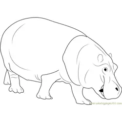Hippopotamus Free Coloring Page for Kids