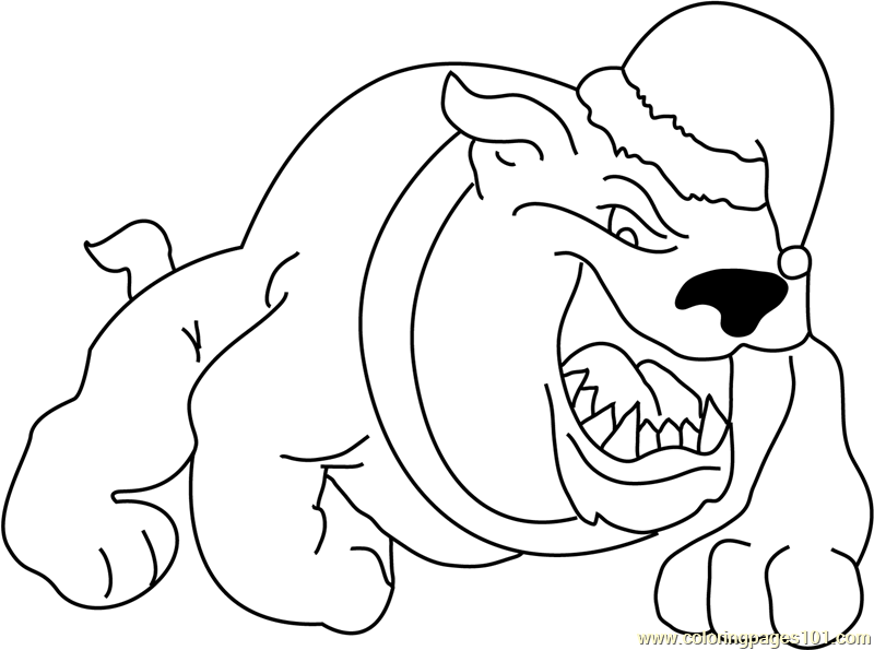 Bulldog with Christmas Cap