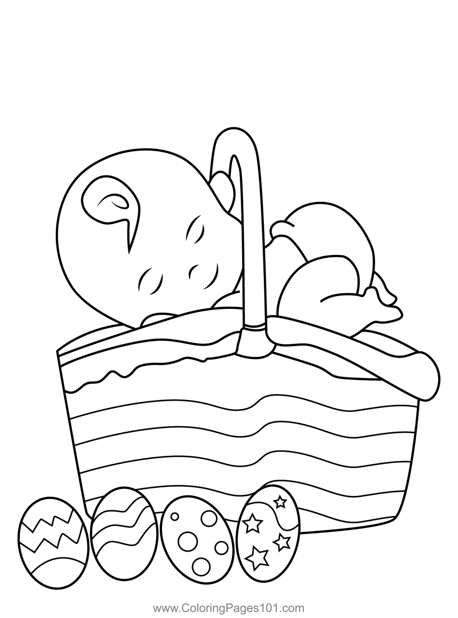 Baby on Eater Basket
