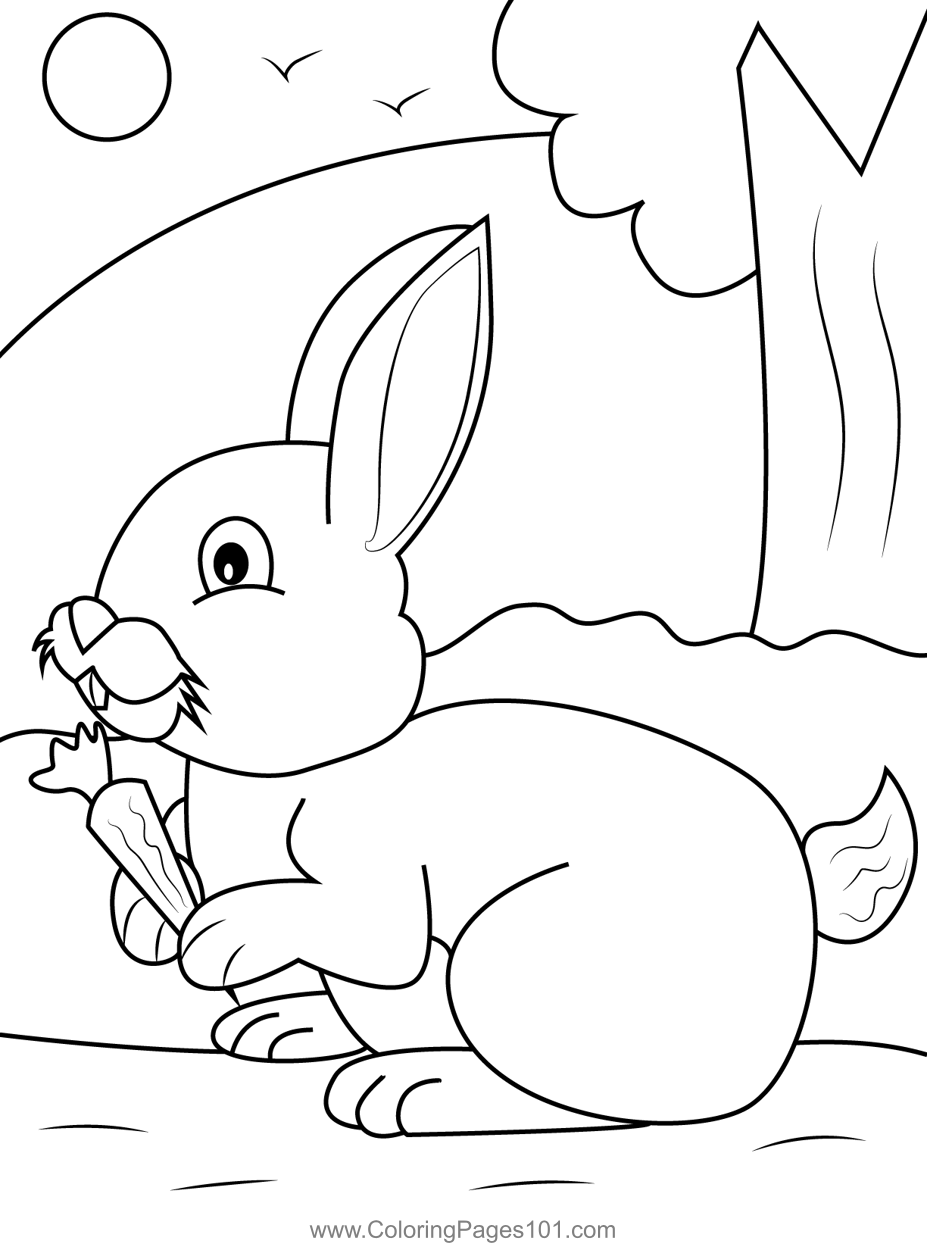 Bunny with Carrot Coloring Page for Kids - Free Easter Printable
