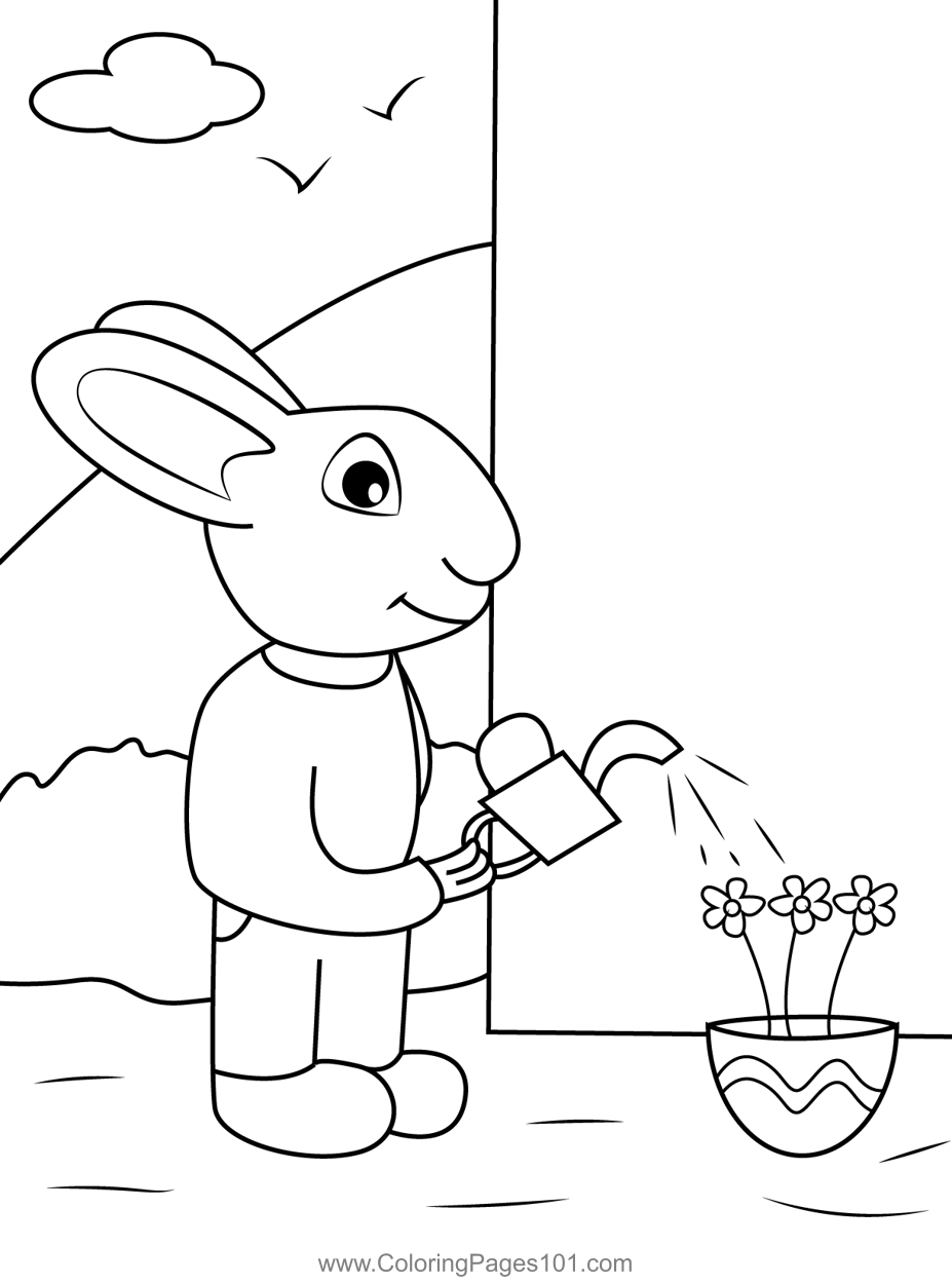Rabbit Watering Flowers