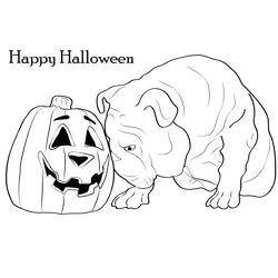 Bulldog and Pumpkin Halloween Free Coloring Page for Kids
