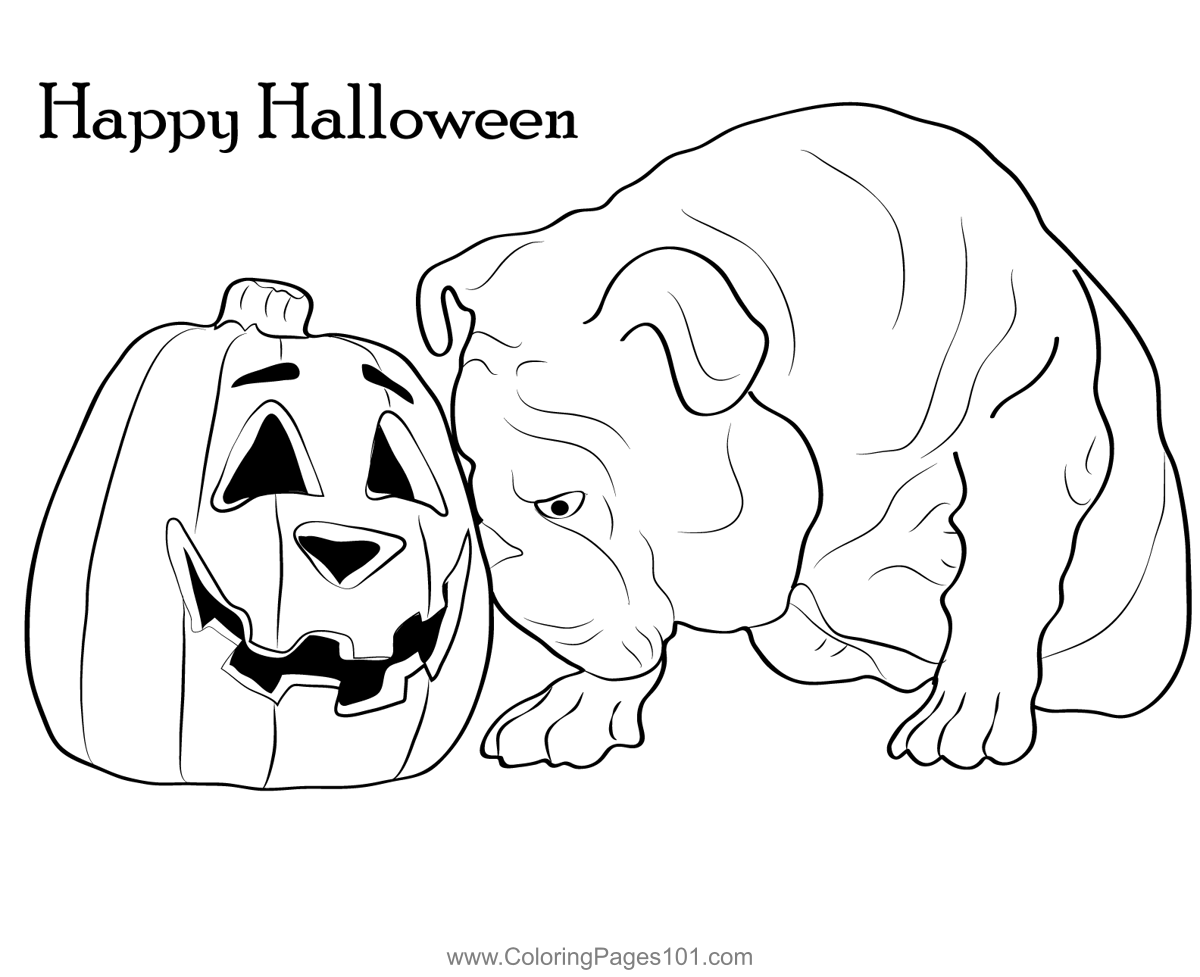 Bulldog and Pumpkin Halloween