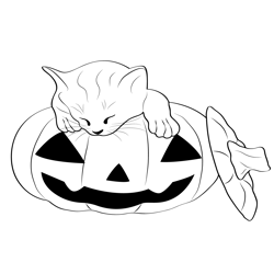 Cat over Pumpkin Free Coloring Page for Kids