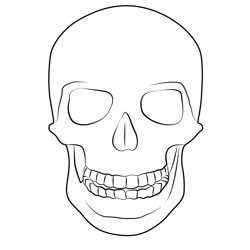 Danger Skull Free Coloring Page for Kids