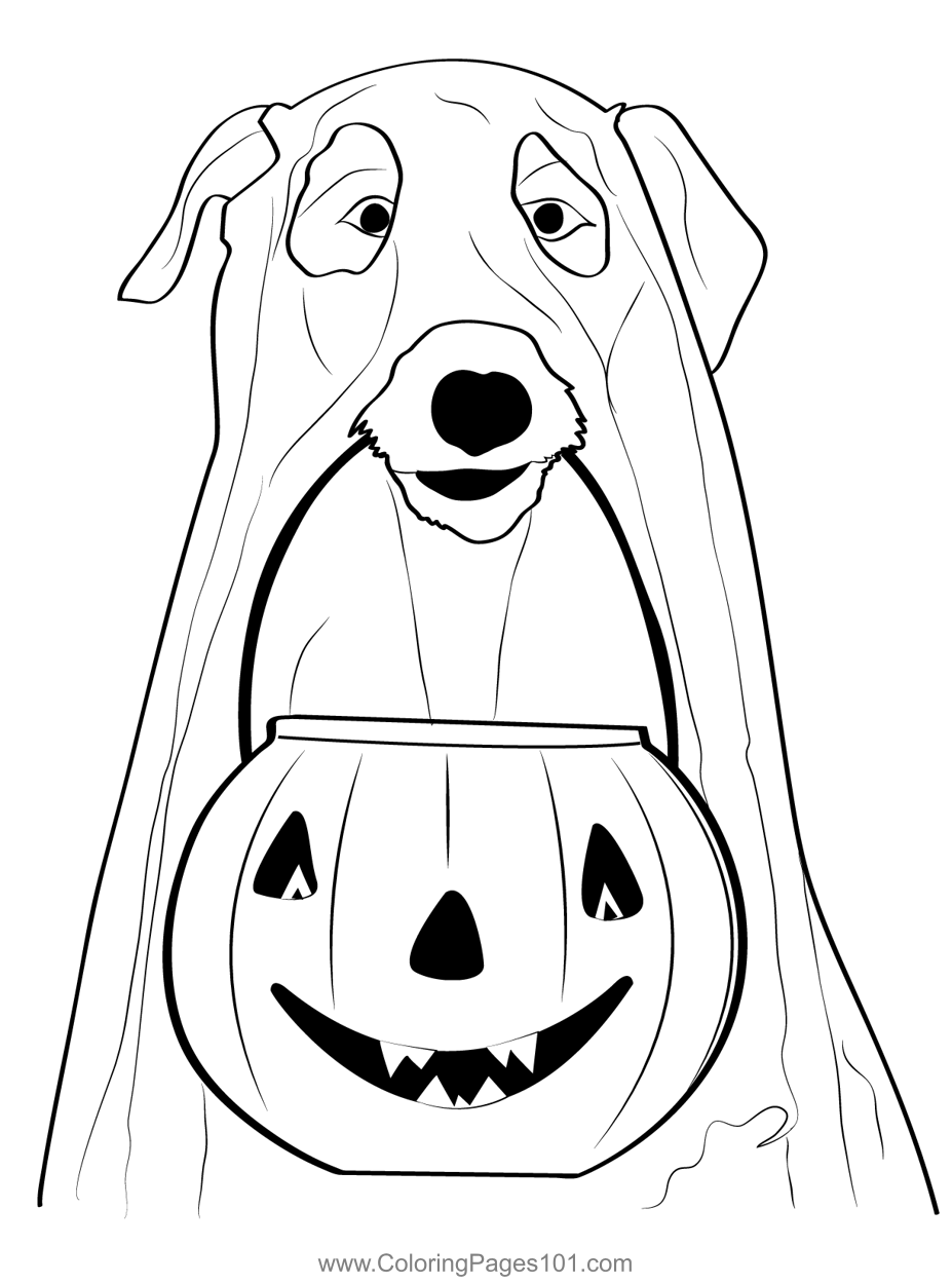 Dogs Pumpkin Ghost