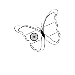 Indian Flag Butterfly Free Coloring Page for Kids