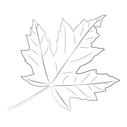 Canada Day Free Coloring Page for Kids