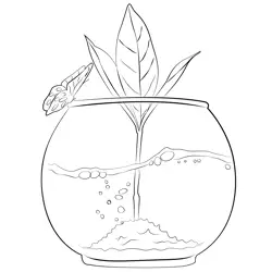 Little Plant And Water Free Coloring Page for Kids