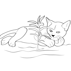 The Cats In The Natural Environment Free Coloring Page for Kids