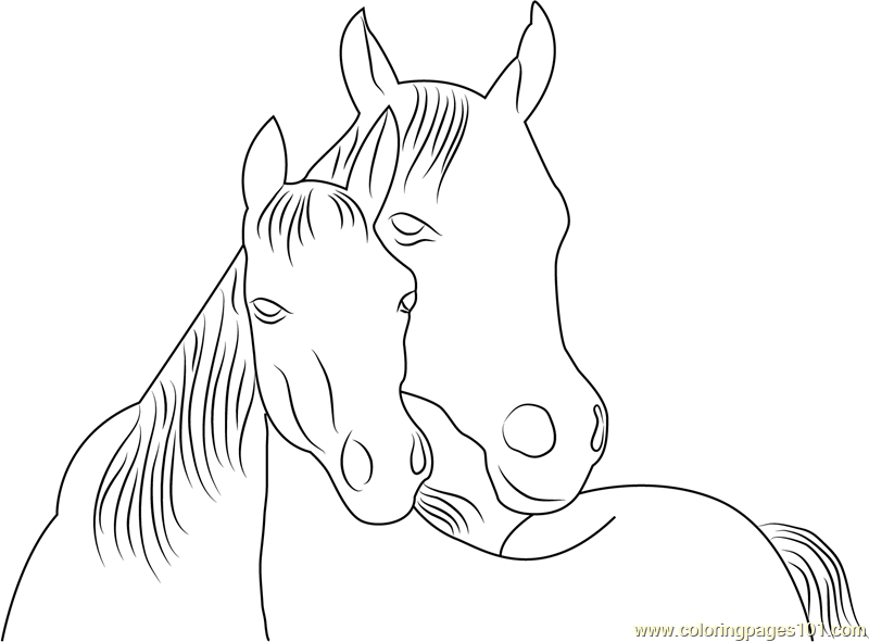Horse in Love