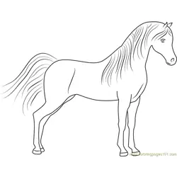Cute Horse Free Coloring Page for Kids